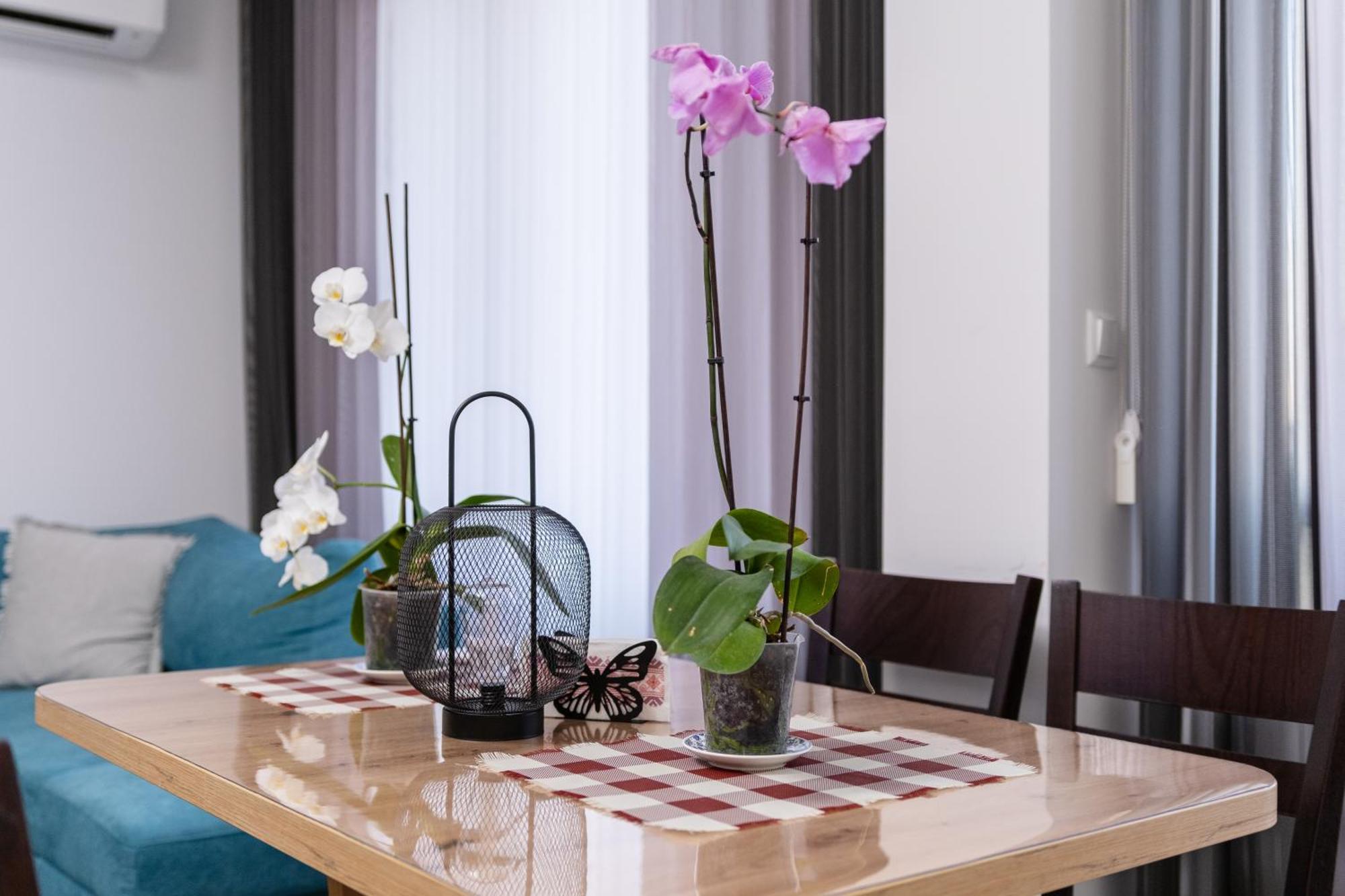 1-Bedroom Apartment With Free Private Parking Plowdiw Exterior foto